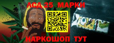 шишки Обнинск