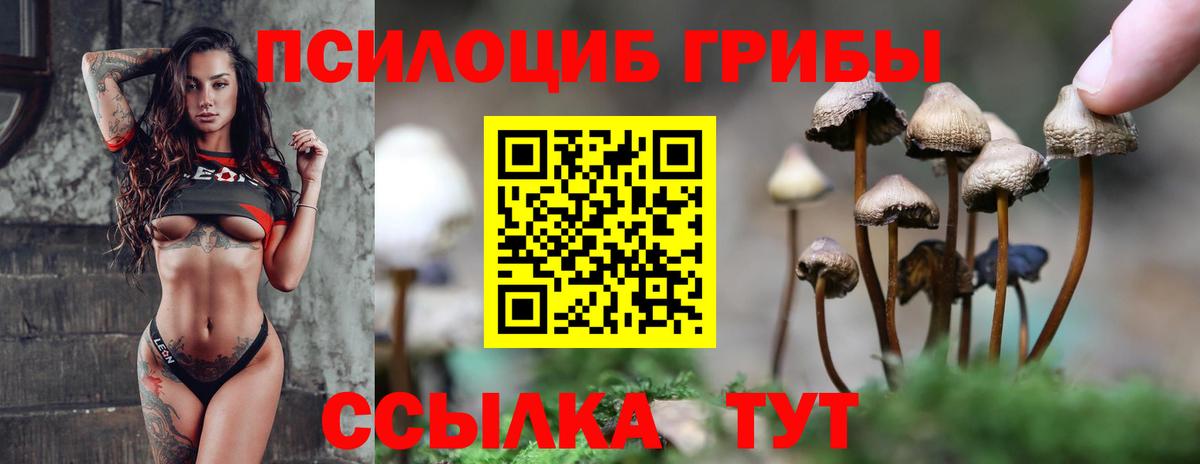 Галлюциногенные грибы GOLDEN TEACHER Северобайкальск