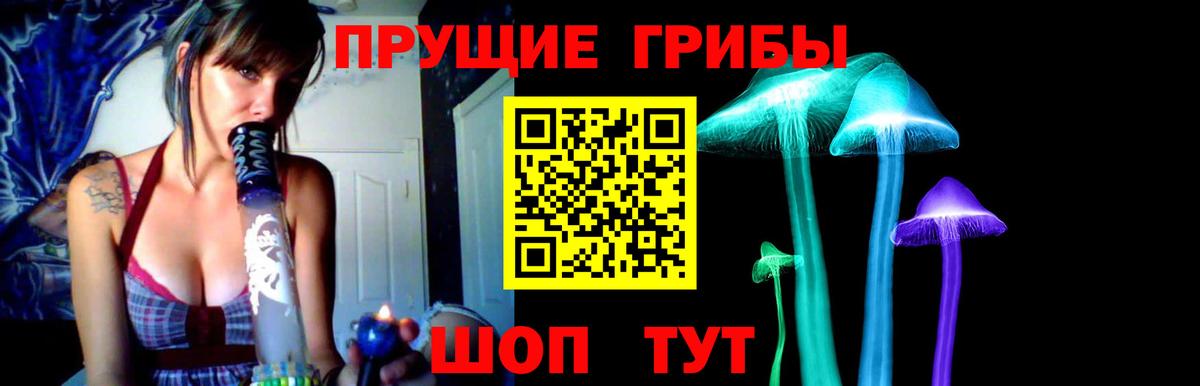 сколько стоит  Вход с VPN  Северобайкальск  Псилоцибиновые грибы MAGIC MUSHROOMS 